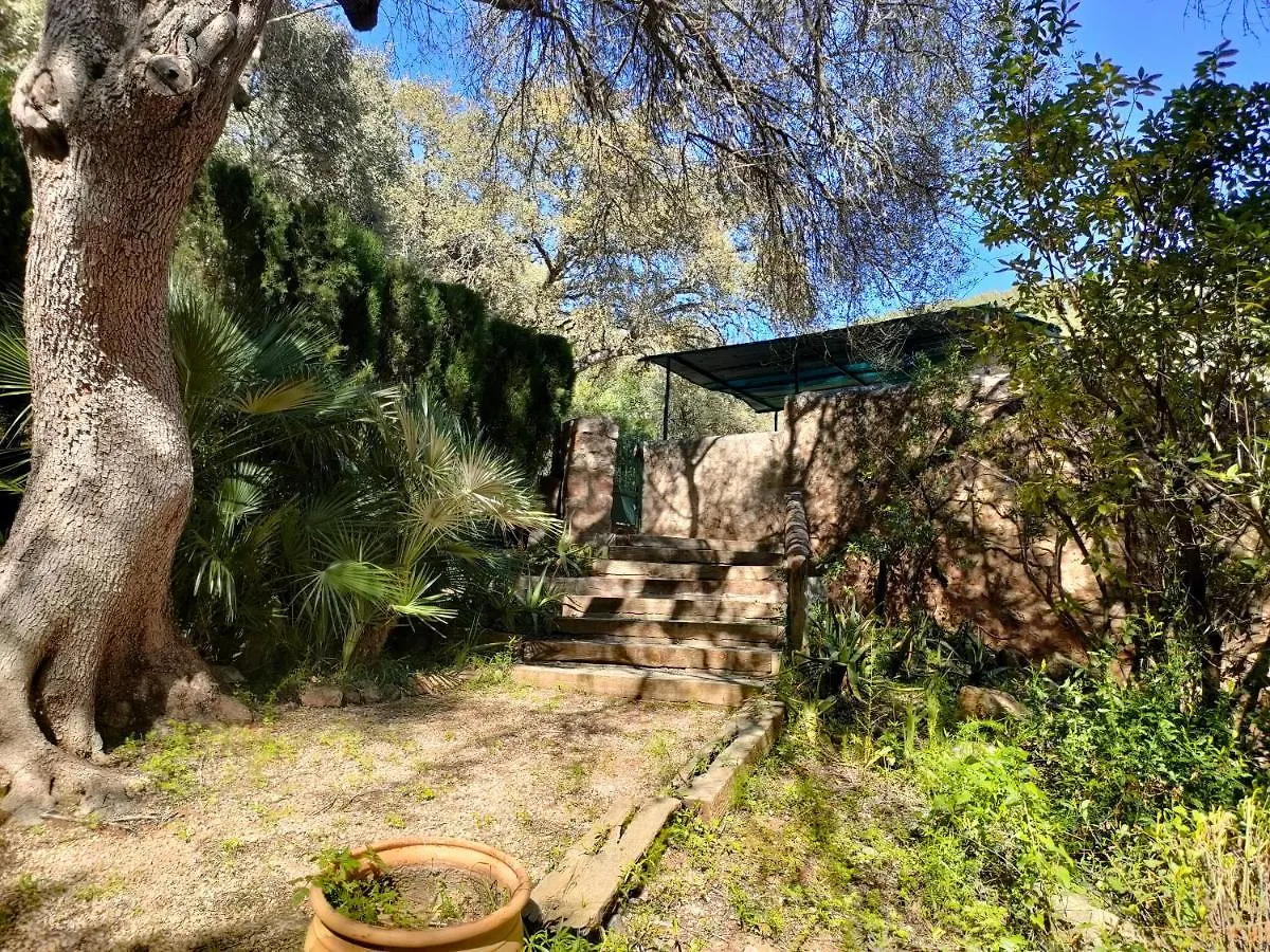 Sa Tafona Esporles 